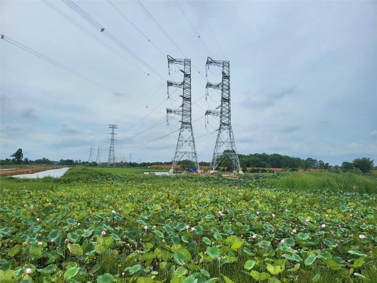 Hoàn thành đóng điện Đường dây 500kV mạch 3 cung đoạn Nhà máy nhiệt điện Nam Định 1 - Thanh Hoá (30/06/2024)